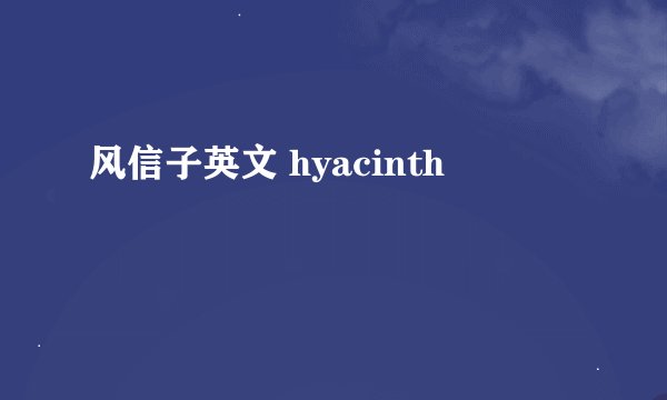 风信子英文 hyacinth