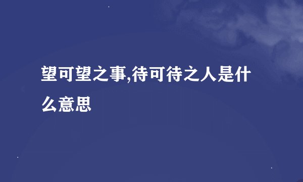 望可望之事,待可待之人是什么意思