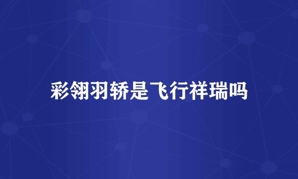 彩翎羽轿是飞行祥瑞吗