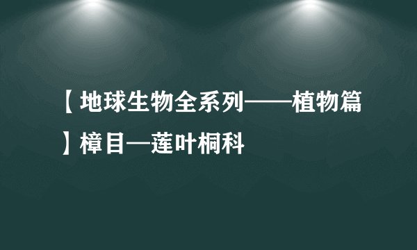 【地球生物全系列——植物篇】樟目—莲叶桐科