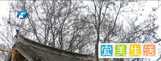 一男子离家20年后回归被妻儿拒之门外，期间他自称没有家里的电话，所以从来没有联系过。