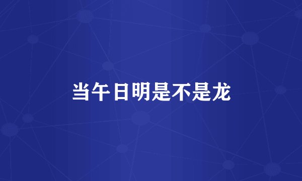 当午日明是不是龙