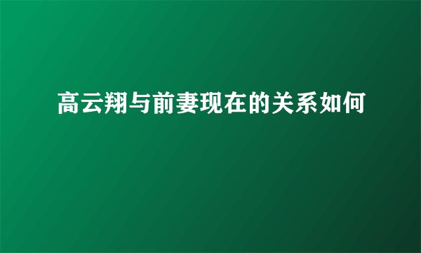 高云翔与前妻现在的关系如何
