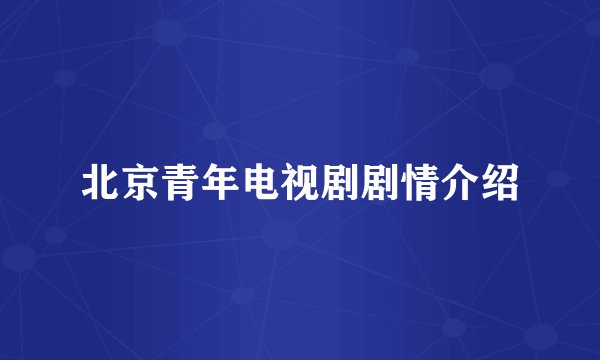 北京青年电视剧剧情介绍