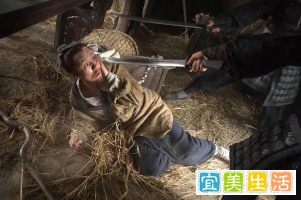 这些电影赢得了口碑，却输了票房