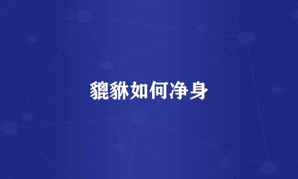 貔貅如何净身