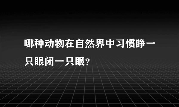 哪种动物在自然界中习惯睁一只眼闭一只眼？