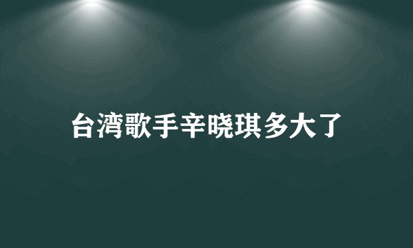 台湾歌手辛晓琪多大了