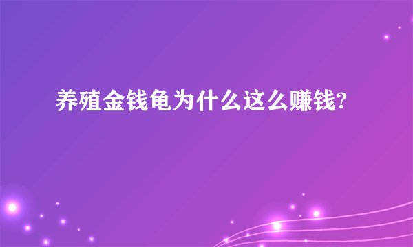 养殖金钱龟为什么这么赚钱?