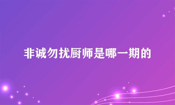 非诚勿扰厨师是哪一期的