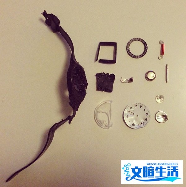 东北娘们训狗儿子 笑得生活不能自理了——这样“训狗”有用吗？