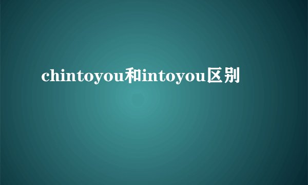 chintoyou和intoyou区别