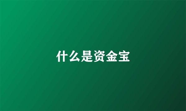 什么是资金宝