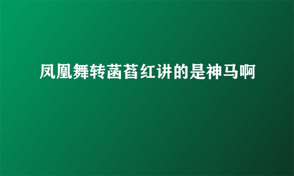 凤凰舞转菡萏红讲的是神马啊