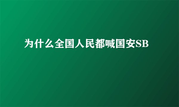 为什么全国人民都喊国安SB