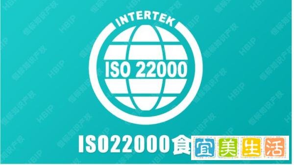 iso的申请条件