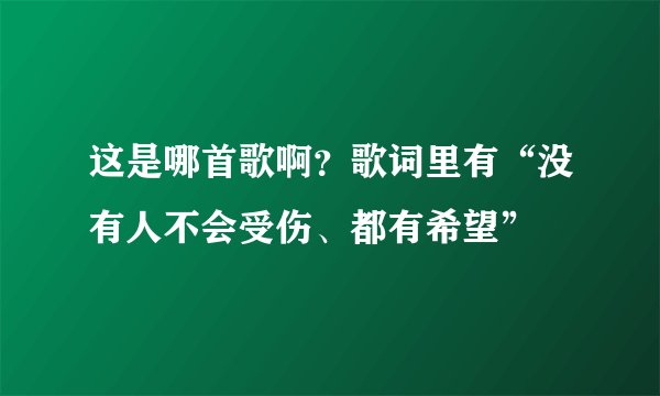 这是哪首歌啊？歌词里有“没有人不会受伤、都有希望”