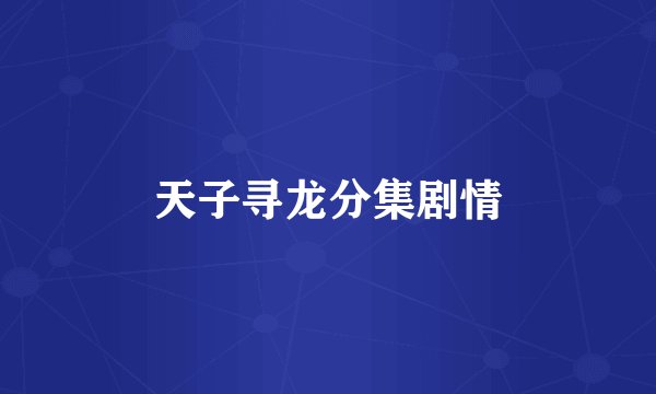 天子寻龙分集剧情