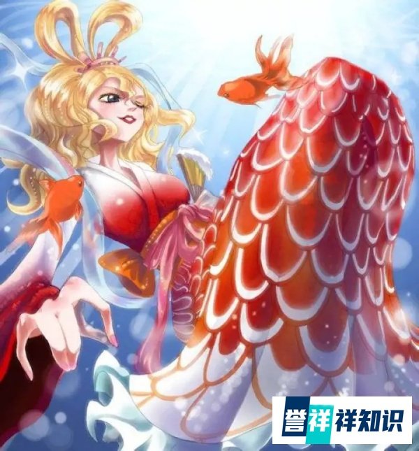 漫话《One Piece》| vol.5 关于路飞毁灭人鱼岛的预言