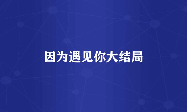 因为遇见你大结局
