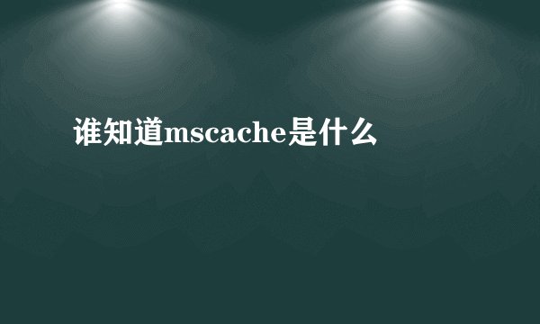 谁知道mscache是什么