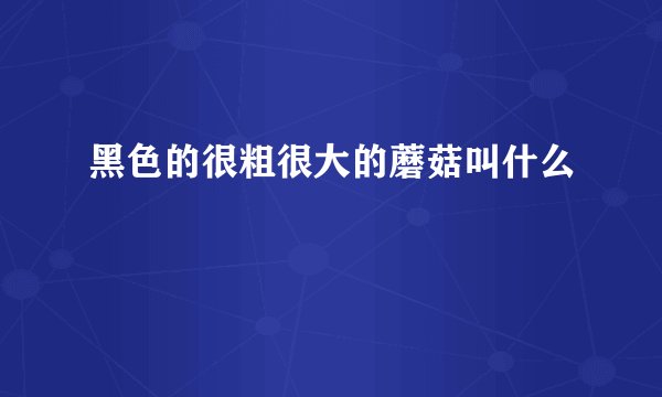 黑色的很粗很大的蘑菇叫什么