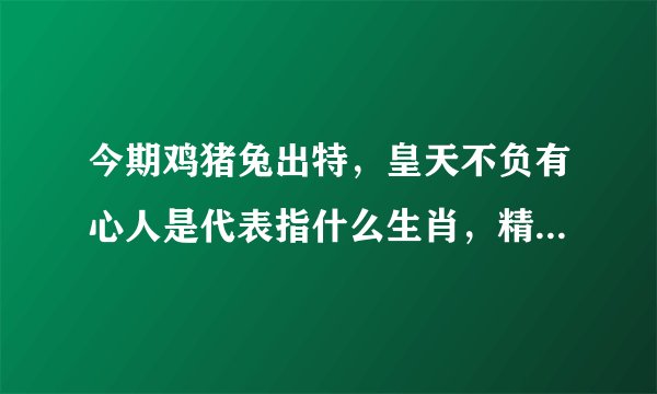 今期鸡猪兔出特，皇天不负有心人是代表指什么生肖，精选答案解释落实