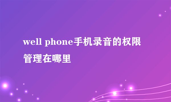 well phone手机录音的权限管理在哪里