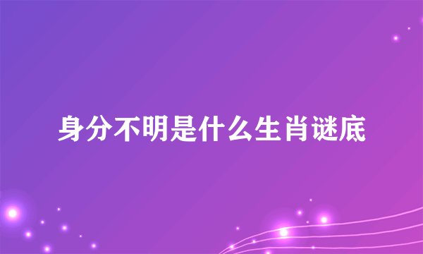 身分不明是什么生肖谜底