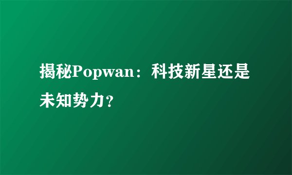 揭秘Popwan：科技新星还是未知势力？