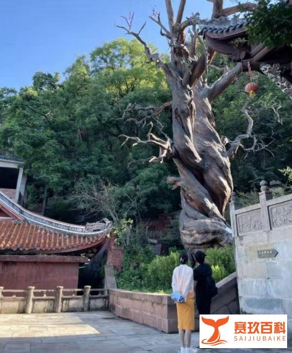 郑恺和老婆牵手旅游，两个人甜蜜晒影子合照，网友猝不及防吃狗粮