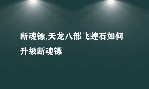 断魂镖,天龙八部飞蝗石如何升级断魂镖