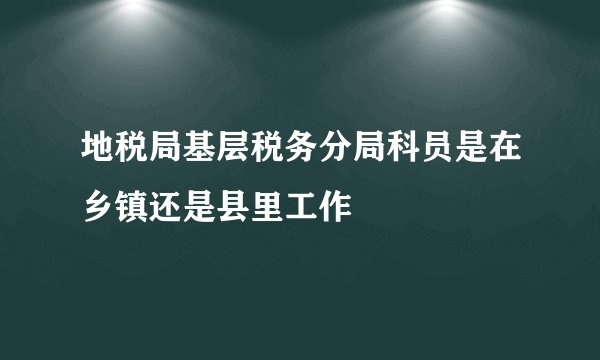 地税局基层税务分局科员是在乡镇还是县里工作