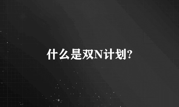 什么是双N计划?
