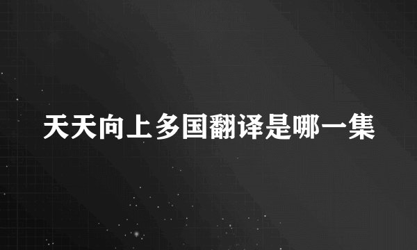 天天向上多国翻译是哪一集