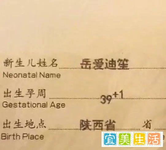 起名故事 | 看起来像假名字的名字