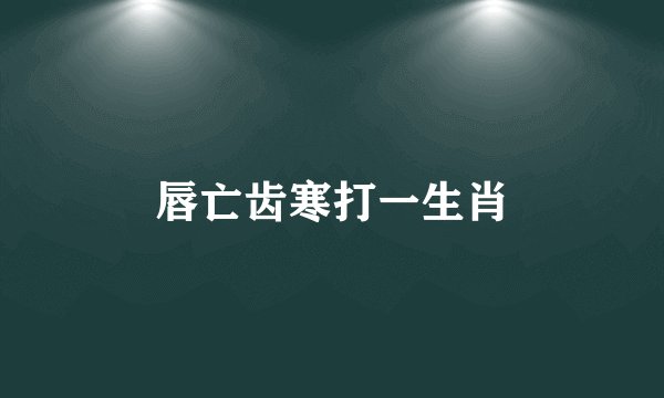 唇亡齿寒打一生肖
