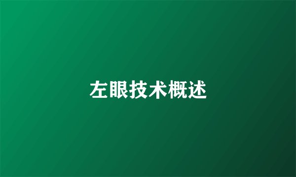 左眼技术概述