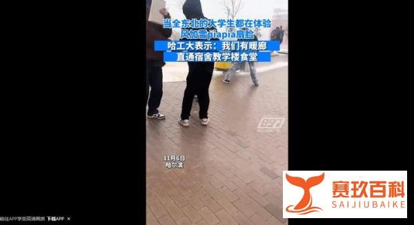 东北大学生正式确诊为“滑”妃，哈工大暖廊火出圈
