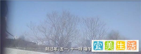 记者暗访日租女友行业