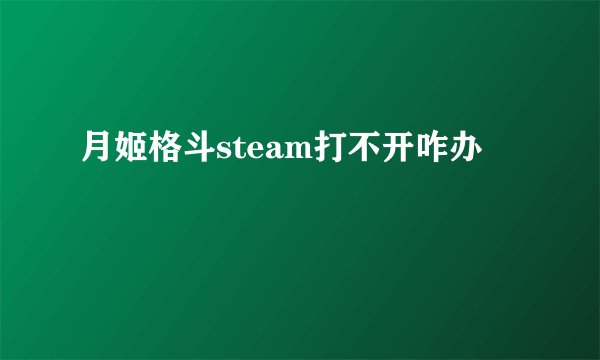 月姬格斗steam打不开咋办