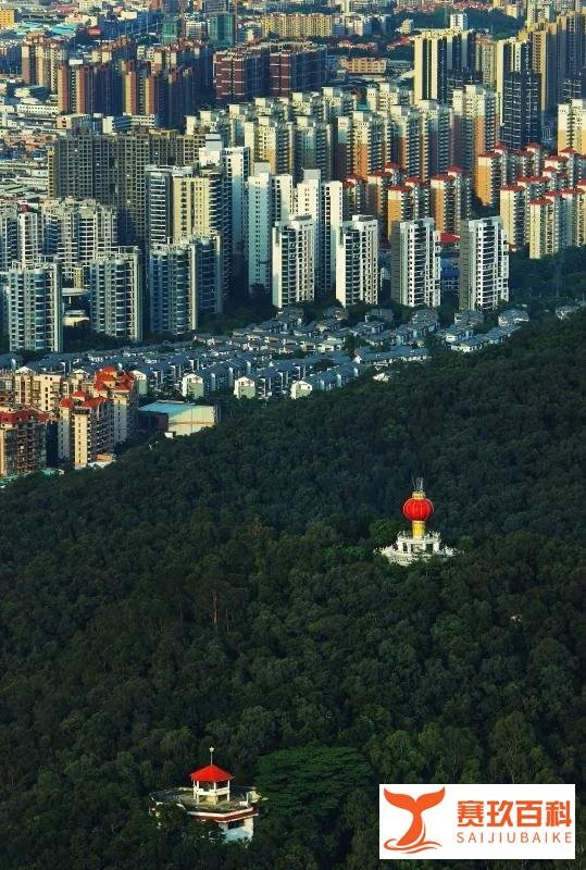 最新十大人口净流入城市出炉 东莞排名全国第五