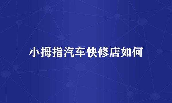 小拇指汽车快修店如何