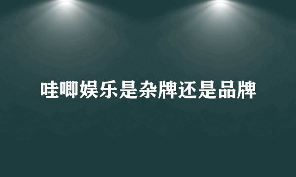 哇唧娱乐是杂牌还是品牌