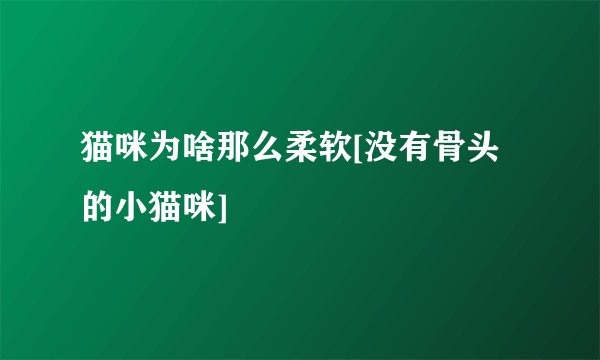 猫咪为啥那么柔软[没有骨头的小猫咪]