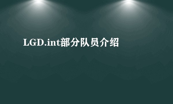 LGD.int部分队员介绍