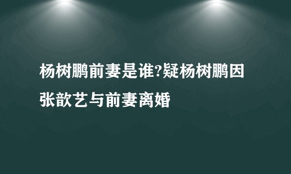 杨树鹏前妻是谁?疑杨树鹏因张歆艺与前妻离婚