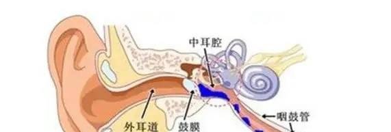 《蚂蚁庄园》二手烟容易引起分泌性中耳炎答案