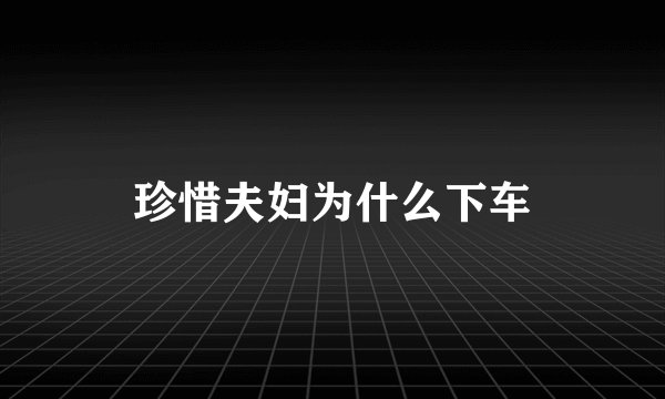 珍惜夫妇为什么下车