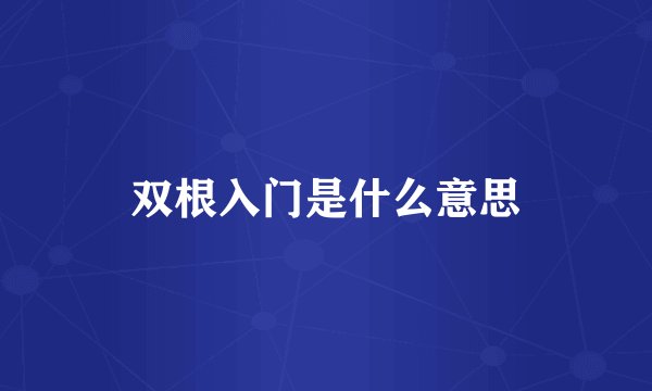 双根入门是什么意思